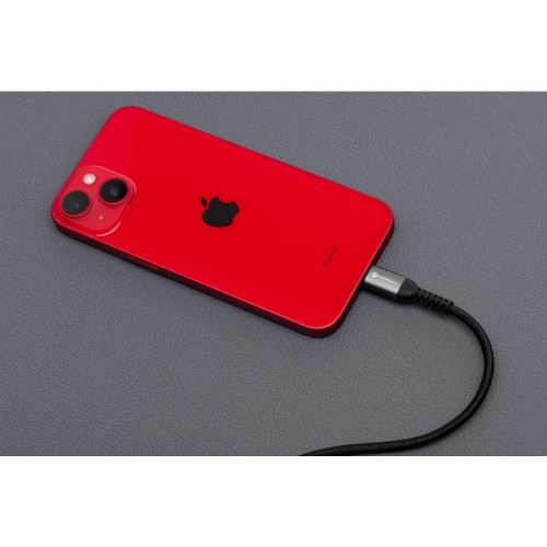 FORCELL F-ENE_20250206_NK003_1000.jpg